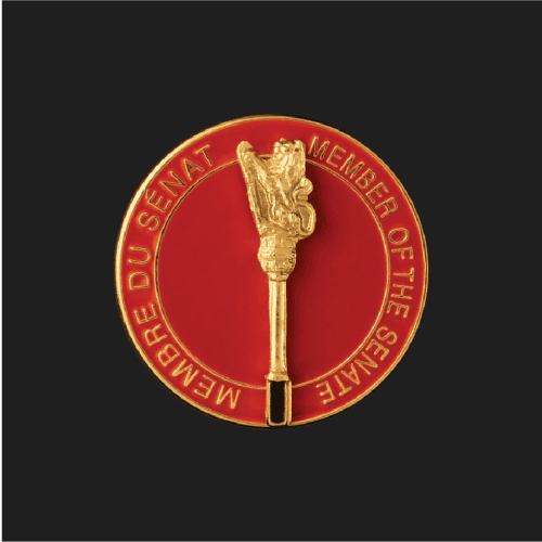 New Senate Appointment Process