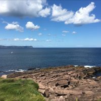 S-5: Senate strengthens environmental protection laws